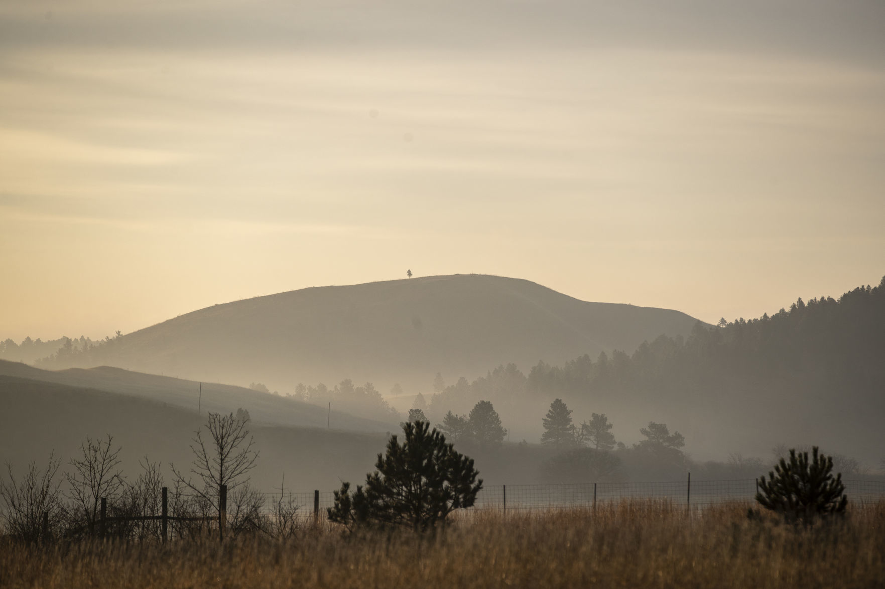 Custer State Park